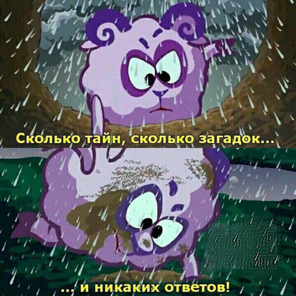 53cb4c33f15b457f9b9c2
