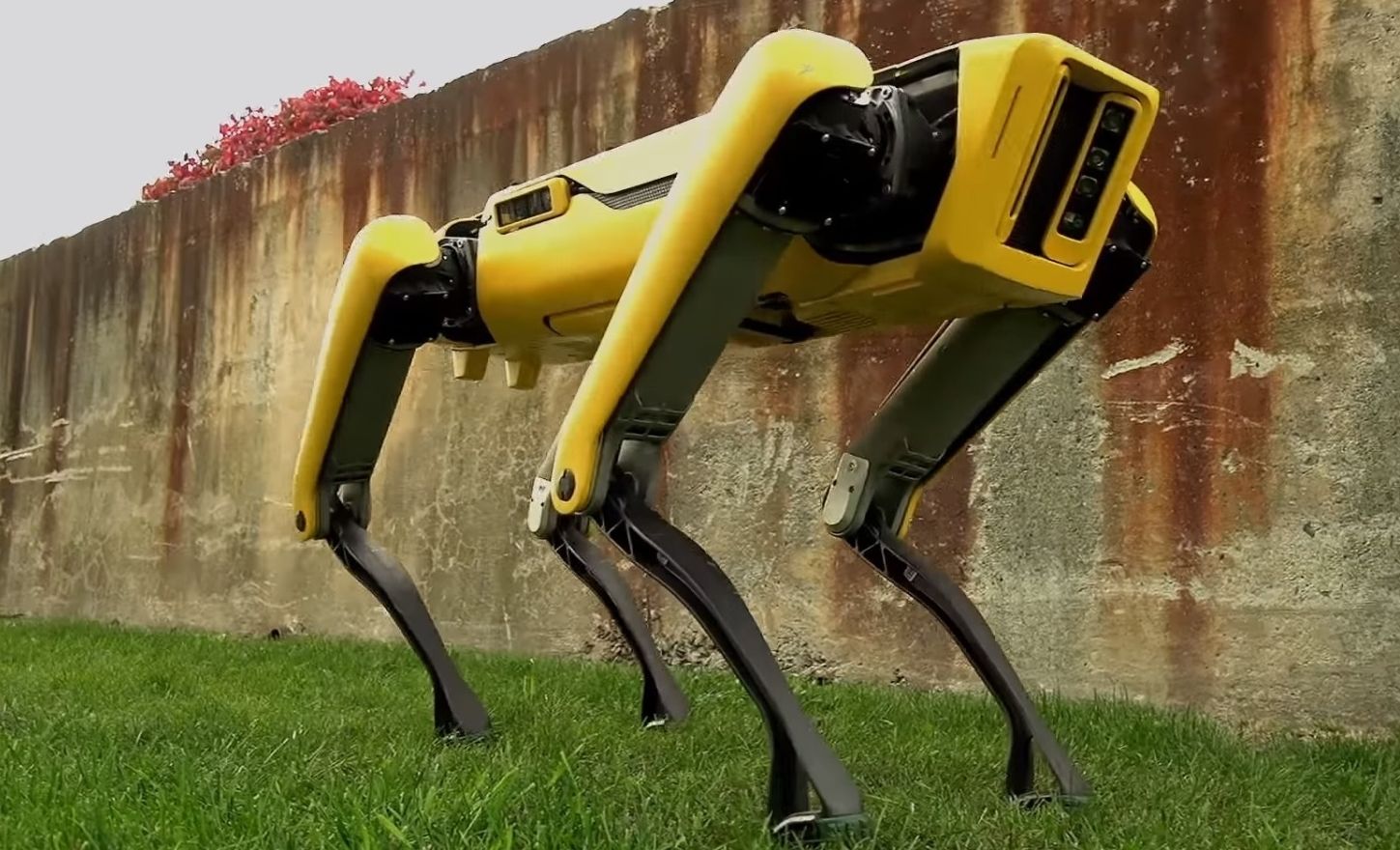 Boston Dynamics начнет продавать своих роботов-собак в 2019 году