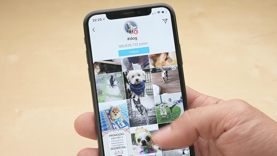 Россияне готовы обменять своих питомцев и личные вещи на iPhone