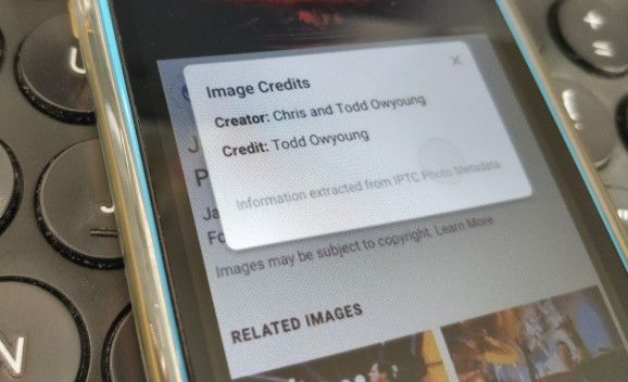 Google добавит к изображениям  информацию об авторе в поиске по картинкам