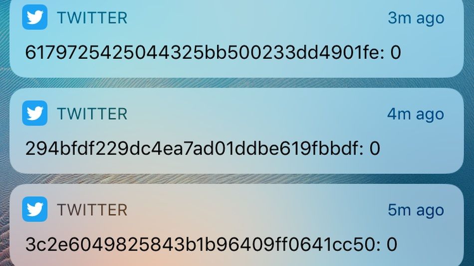 Twitter разослал пользователям зашифрованные уведомления