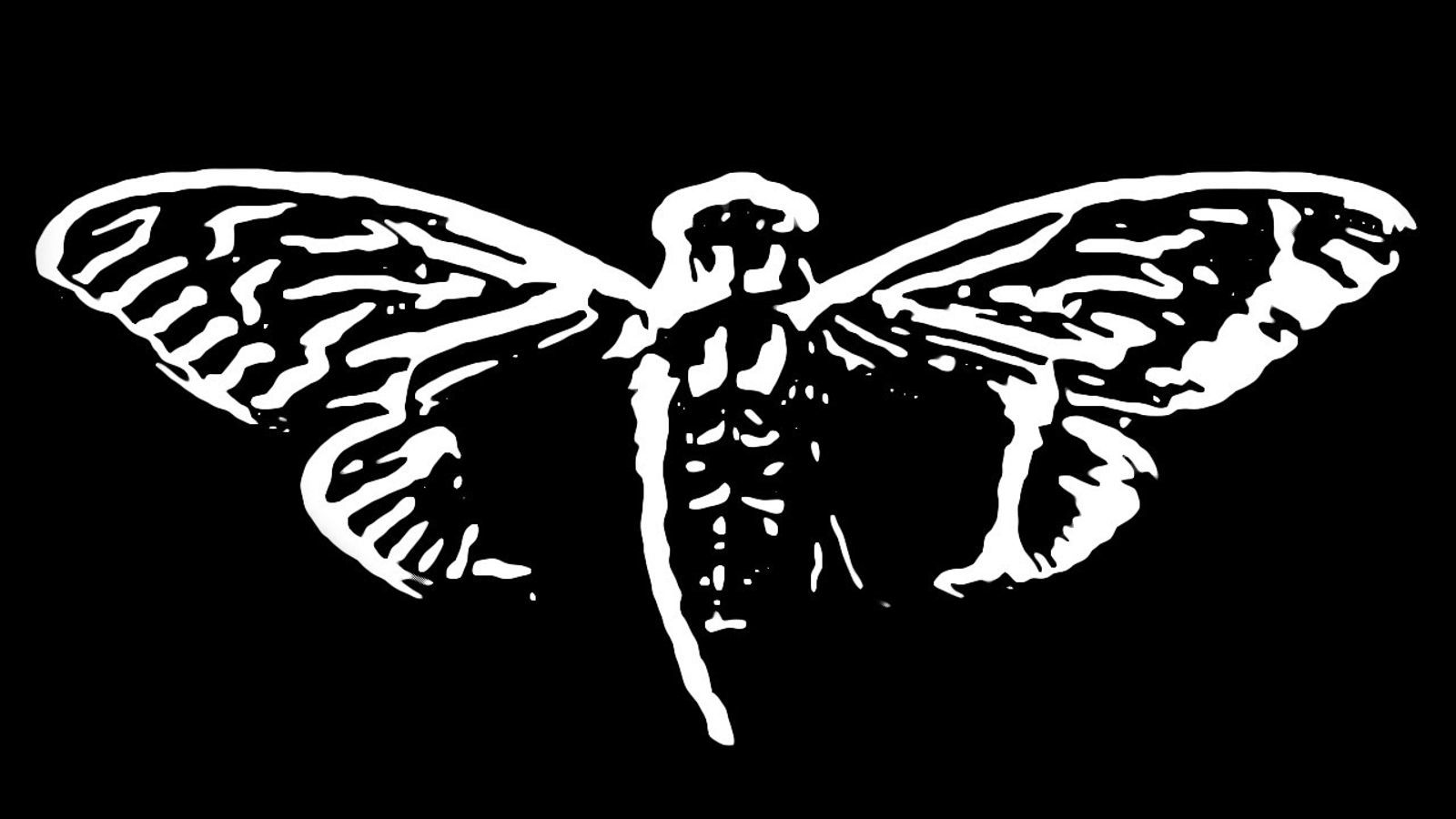 Cicada 3301. Часть 1