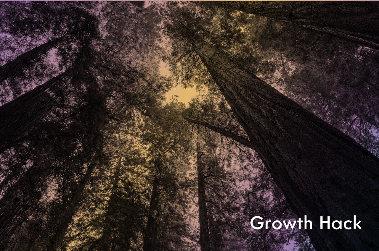 Growth Hacking вашей компании. Пять советов для стартапа