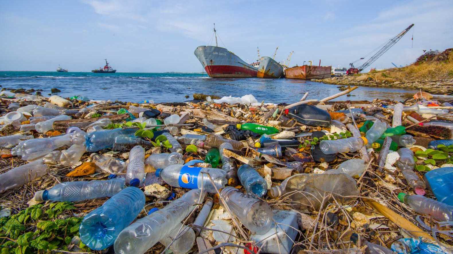WWF проводит стрим с разлагающейся пластиковой бутылкой