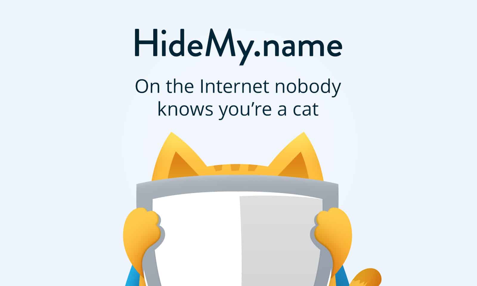 Администрация VPN-сервиса HideMy.name сообщила, что добилась в суде отмены решения о блокировке