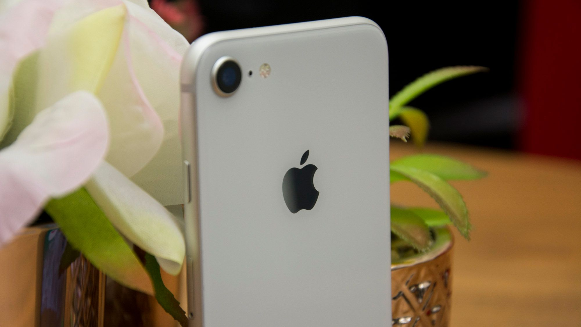 Nikkei: Apple в 2020 году выпустит бюджетный iPhone, чтобы предотвратить падение продаж своих смартфонов