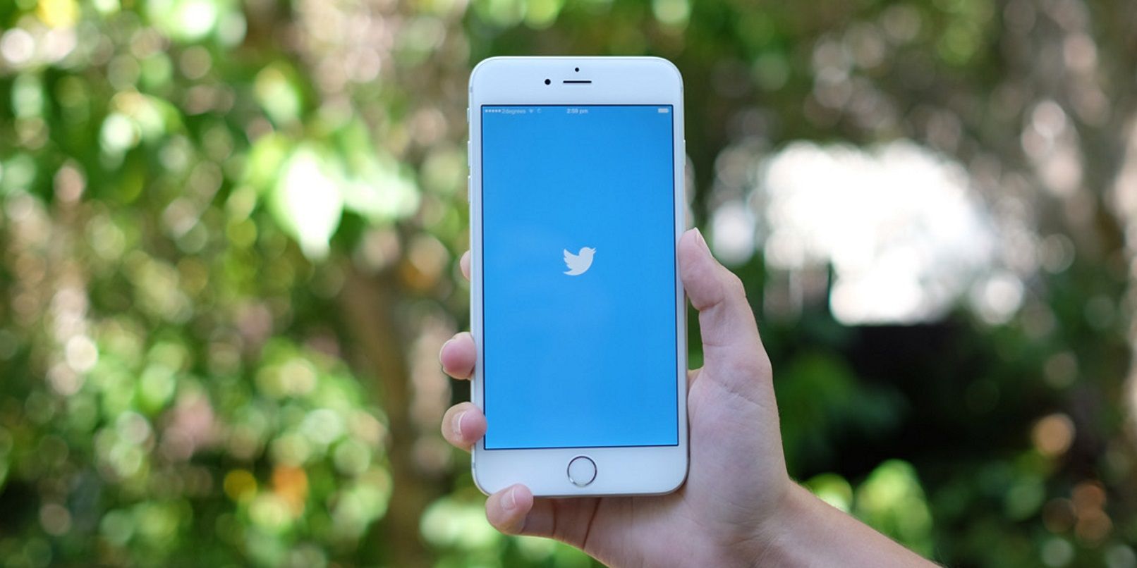 Twitter намерен изменить политику в рамках борьбы с «фейковыми» материалами