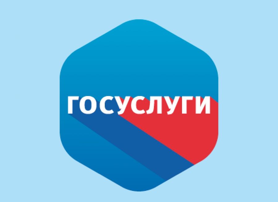 Количество пользователей портала госуслуг достигло 100 млн
