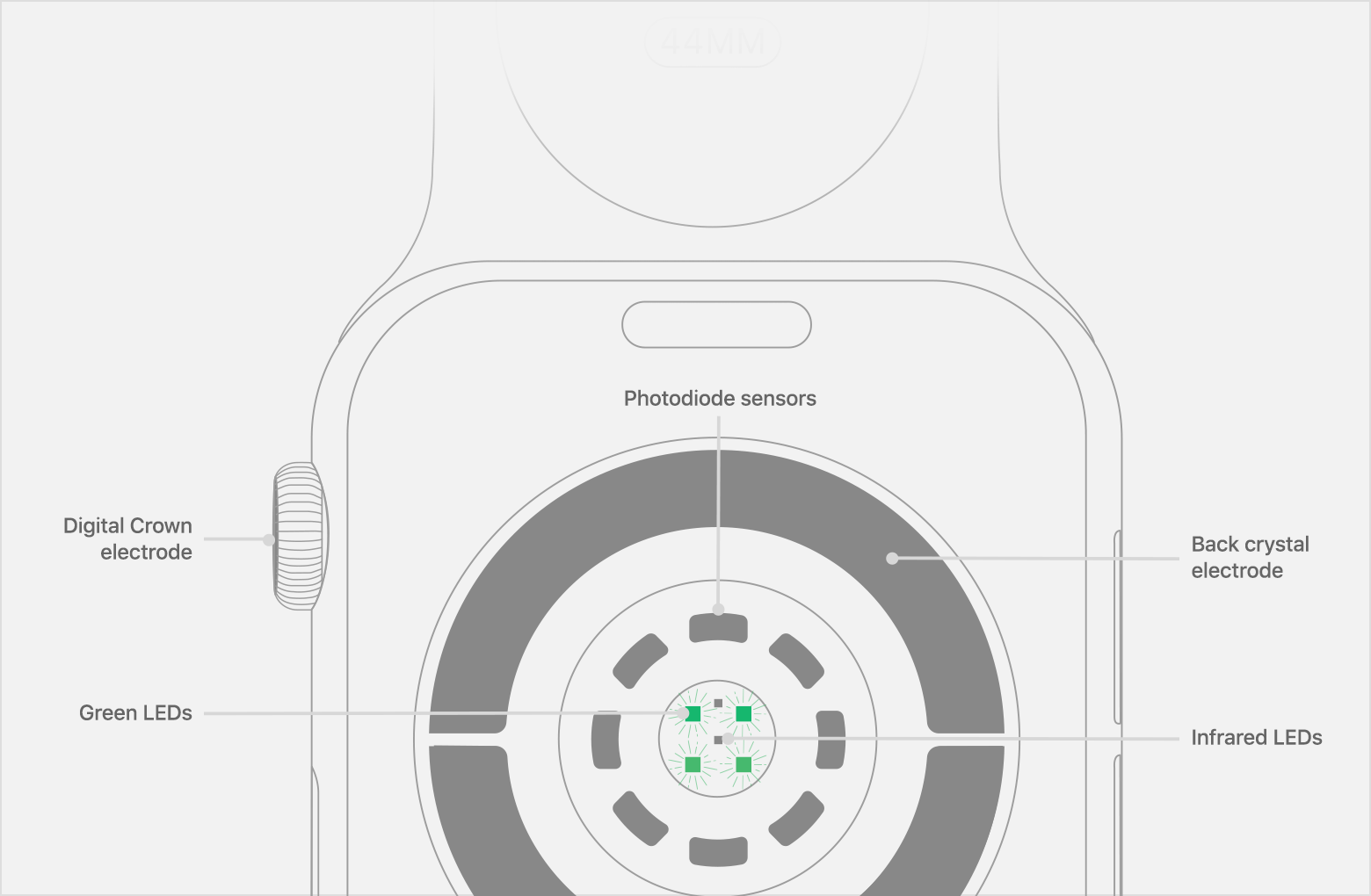 Американский кардиолог подал в суд на Apple из-за технологии отслеживания пульса