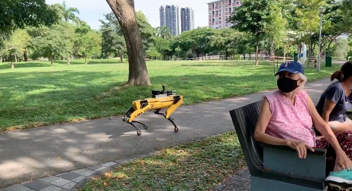 Робопёс от Boston Dynamics гоняет людей в парке за нарушение дистанции