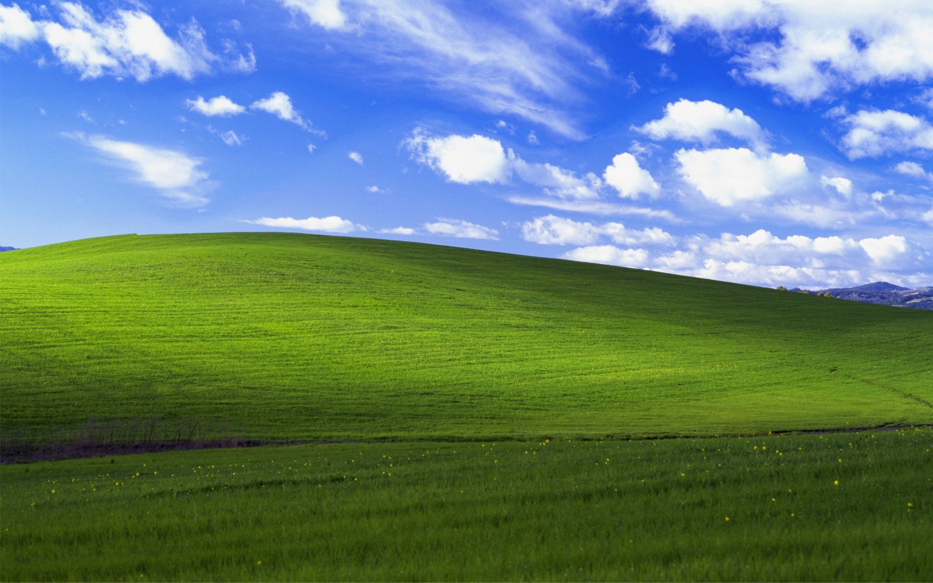 В Windows XP была секретная тема, которая делала ее похожей на Mac