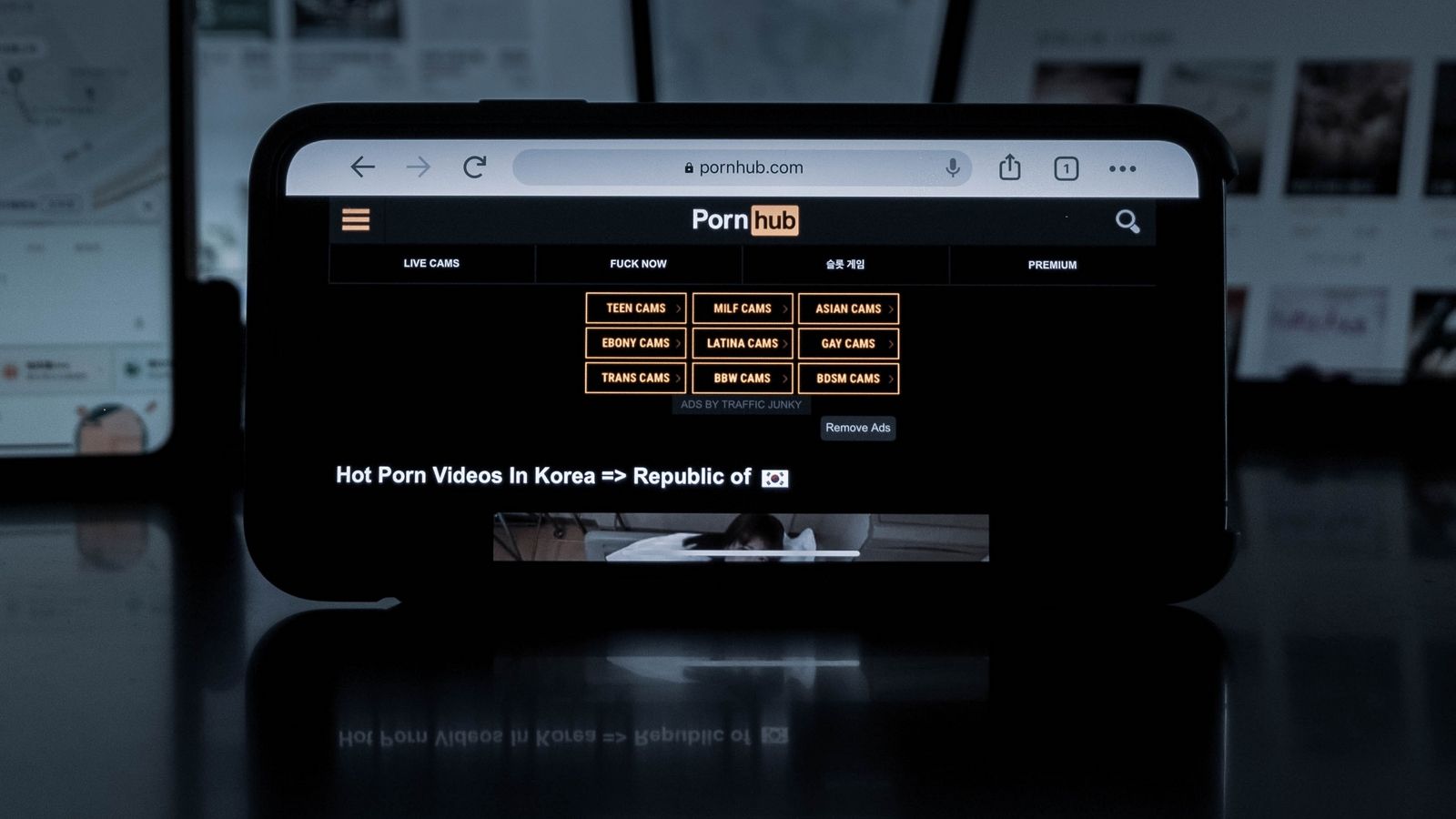 PornHub удалил львиную долю своего контента