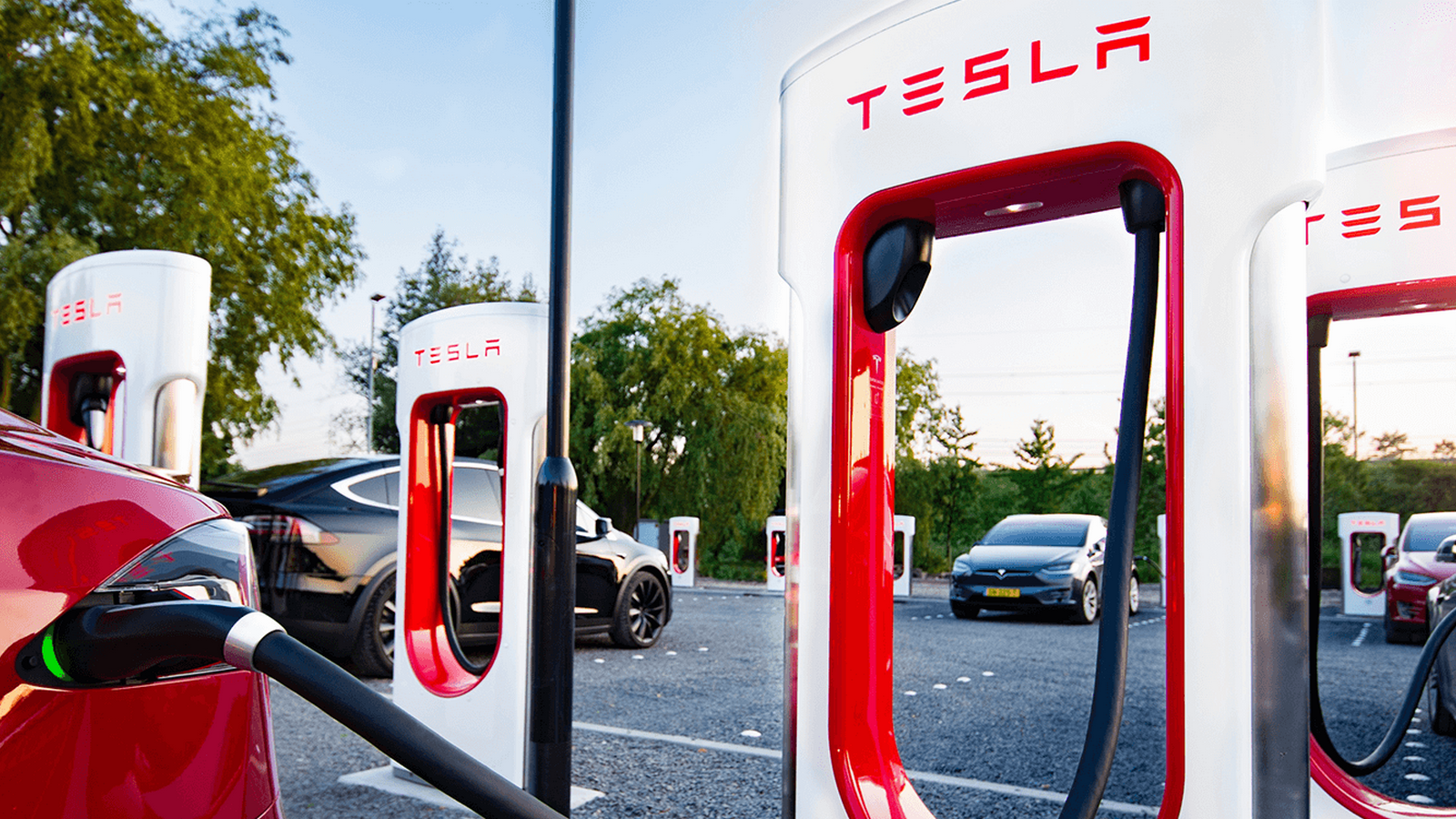 Крупнейшая сеть для зарядки Tesla открыта в Китае