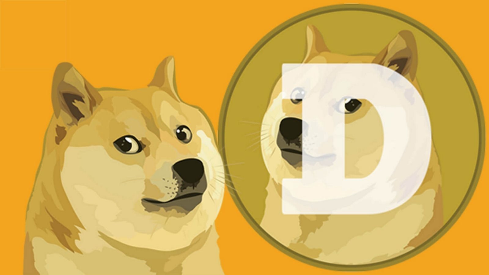 Doge лает на луну: альткоин, созданный в качестве шутки, и стремительный рост его стоимости
