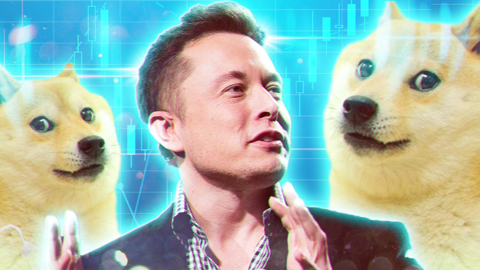 Основатель Dogecoin считает Илона Маска самовлюблённым аферистом