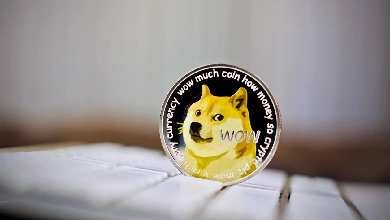 Coinseed без ведома инвесторов сконвертировала их активы в Dogecoin