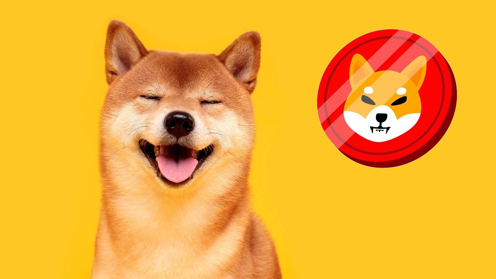 Сооснователю Ethereum Виталику Бутерину подарили половину от всех токенов Shiba Inu, но он их сжег