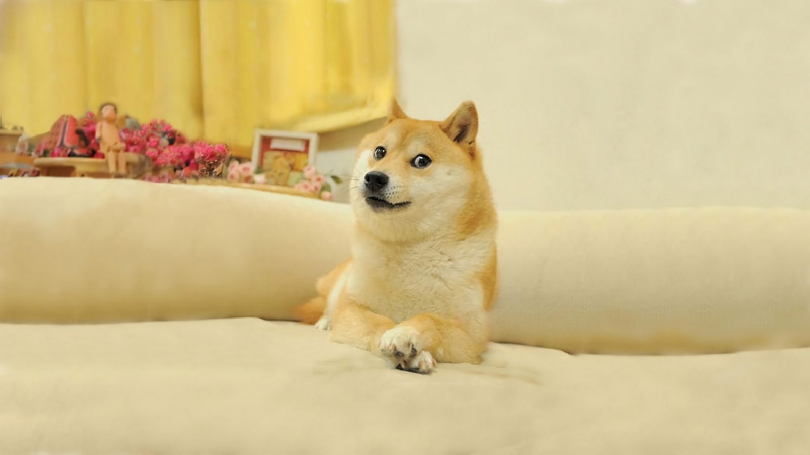 Популярнейший интернет-мем Doge продали в виде NFT за $4 млн