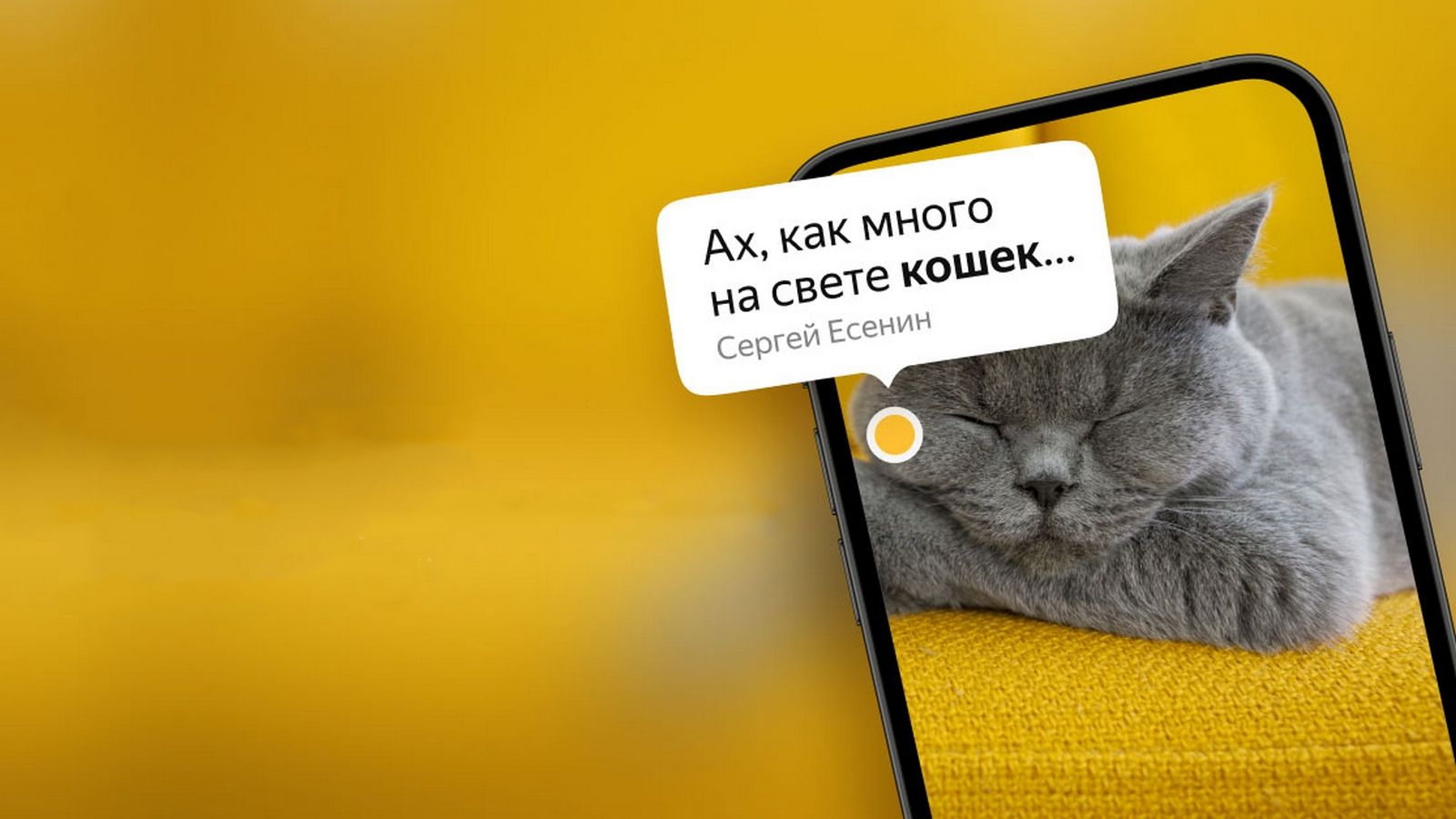 «Умная» камера Яндекса стала цитировать стихи при её наведении на предметы