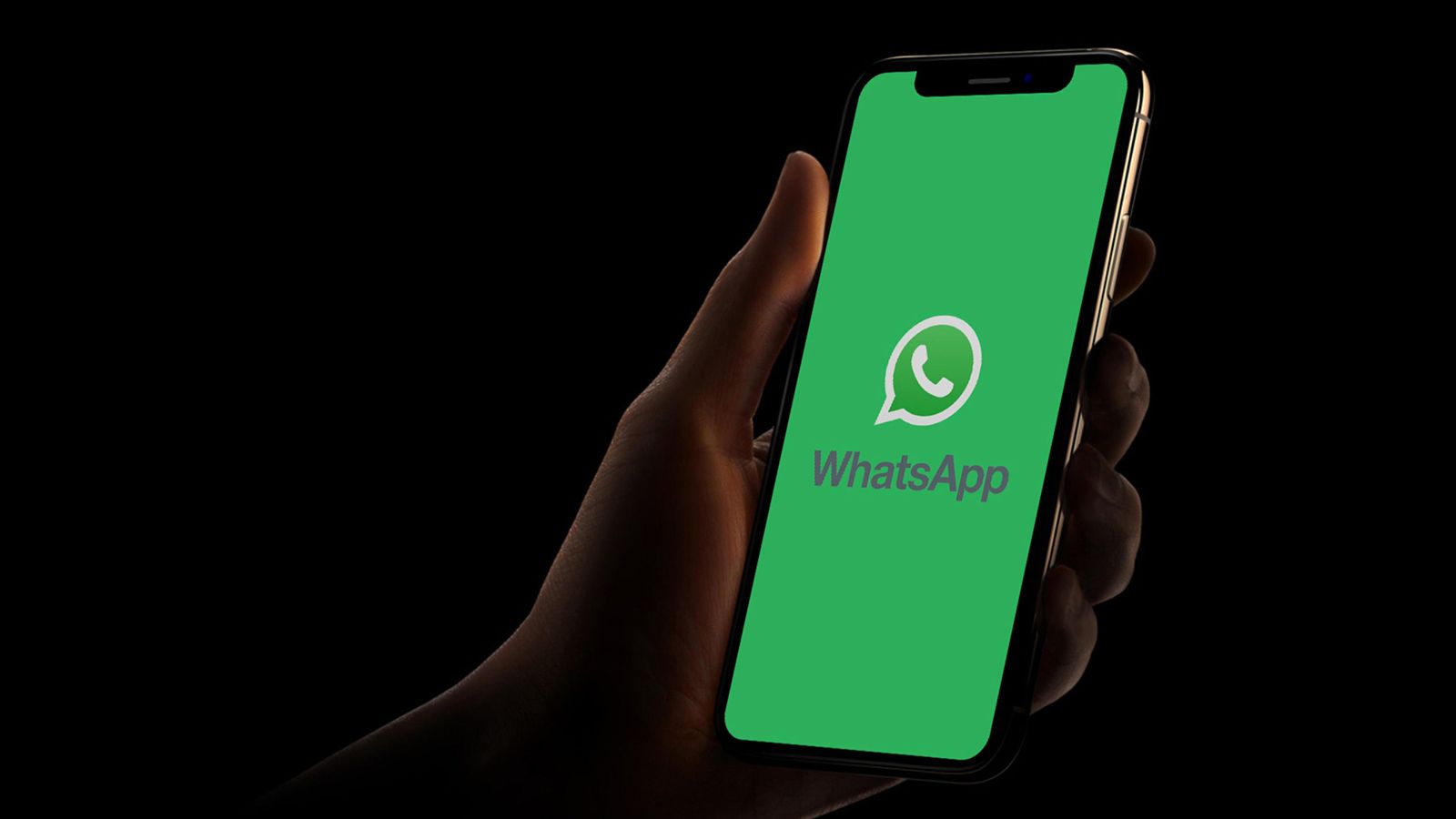 WhatsApp можно будет использовать сразу на нескольких устройствах, но только не на другом смартфоне