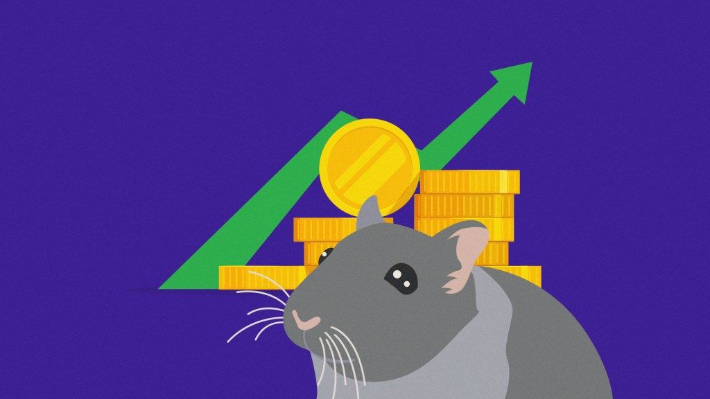 Хомяк криптовалютный трейдер увеличил свой портфель почти на 30% за три месяца