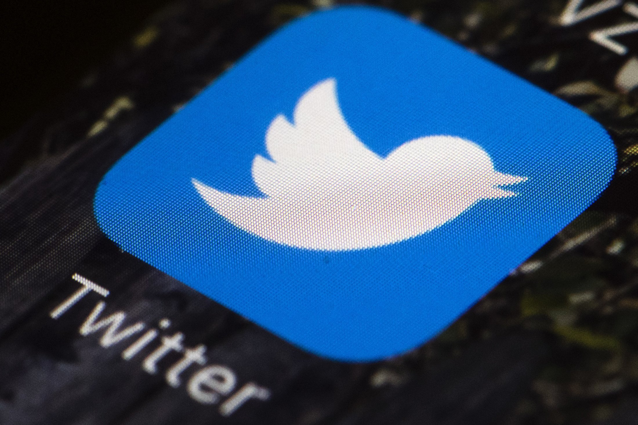 Илон Маск предложил разблокировать Трампа в Twitter