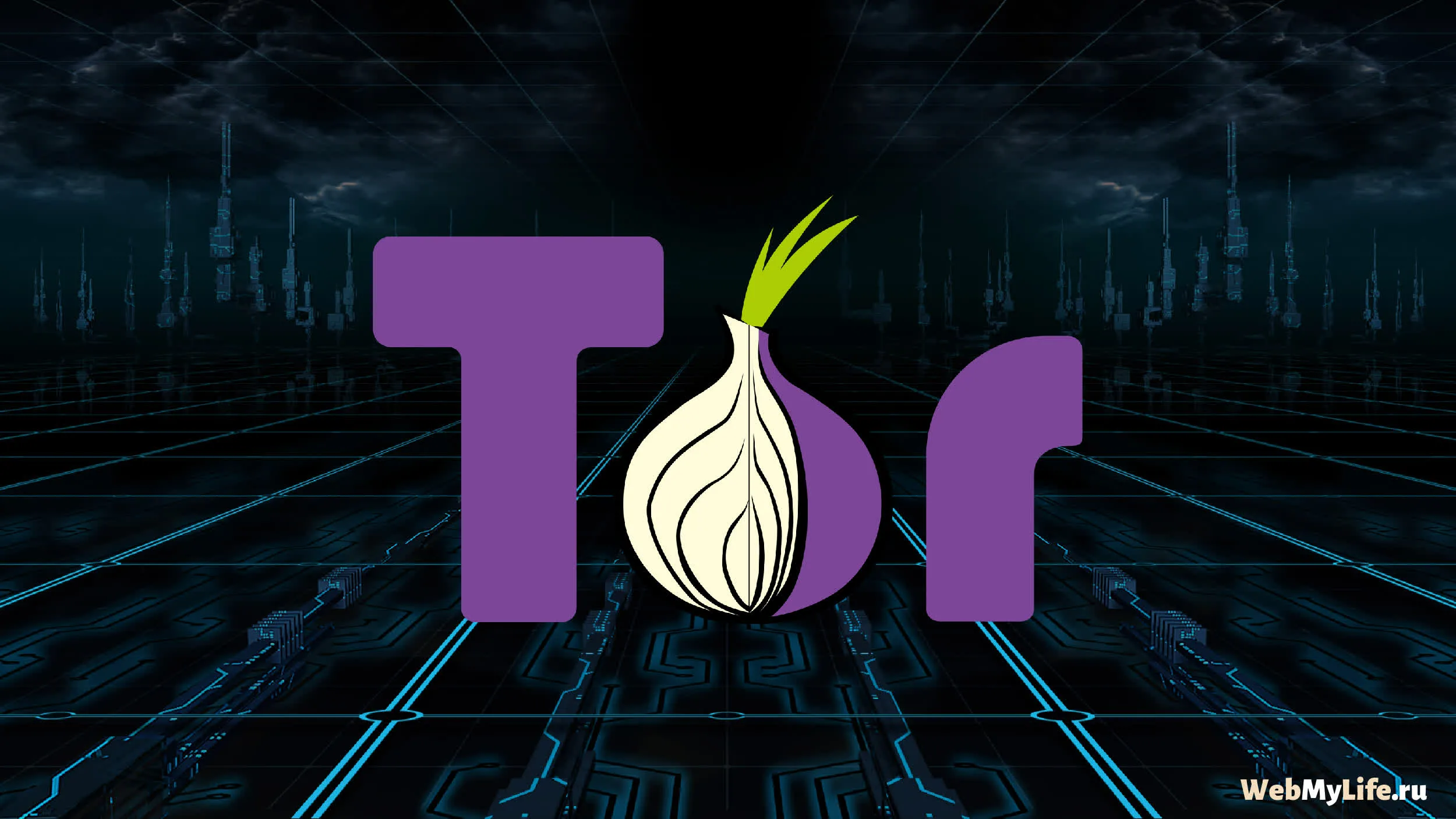 Роскомнадзор разблокировал сайт браузера Tor