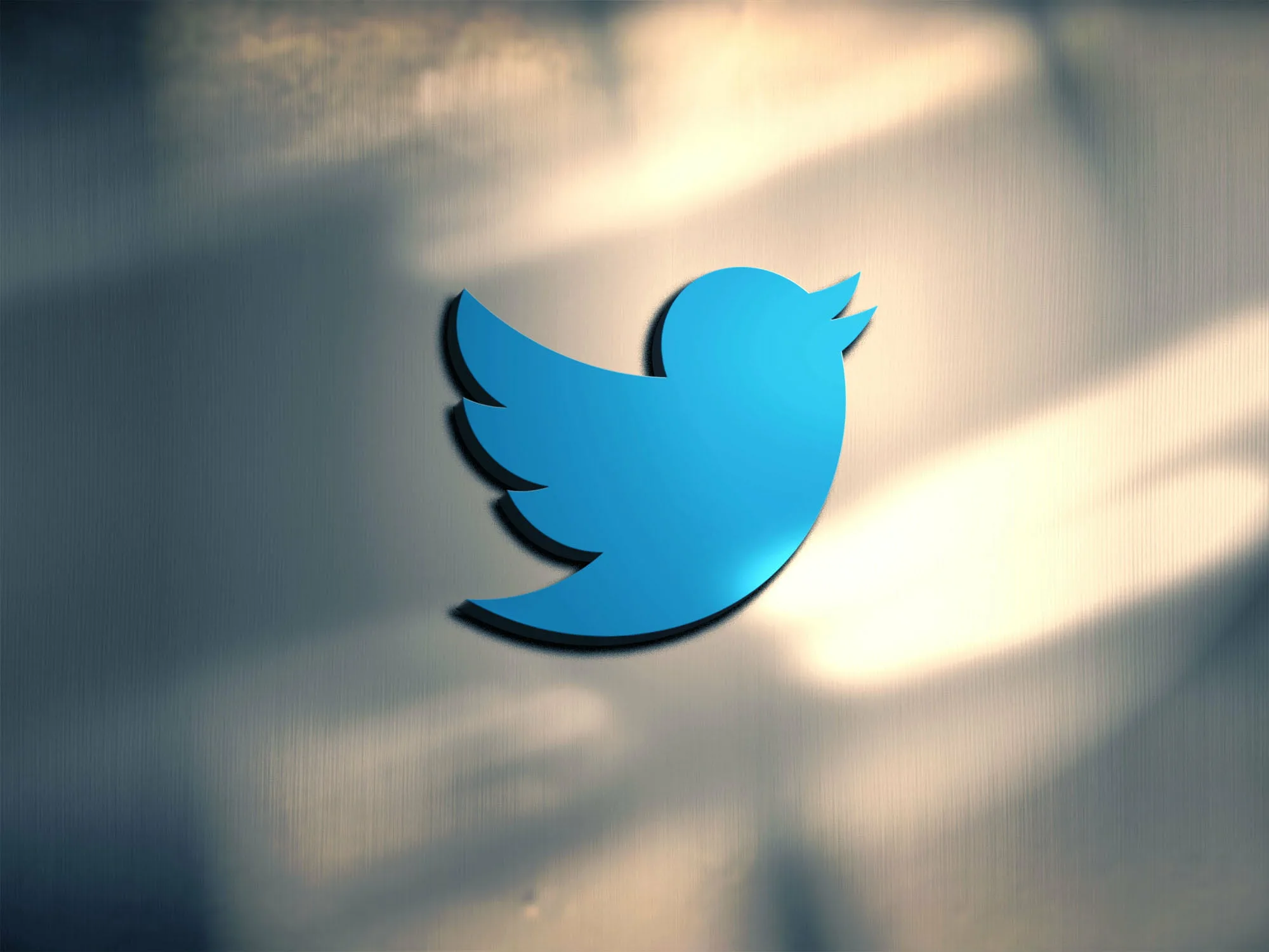 Twitter обвинил Маска в многомилионных денежных потерях