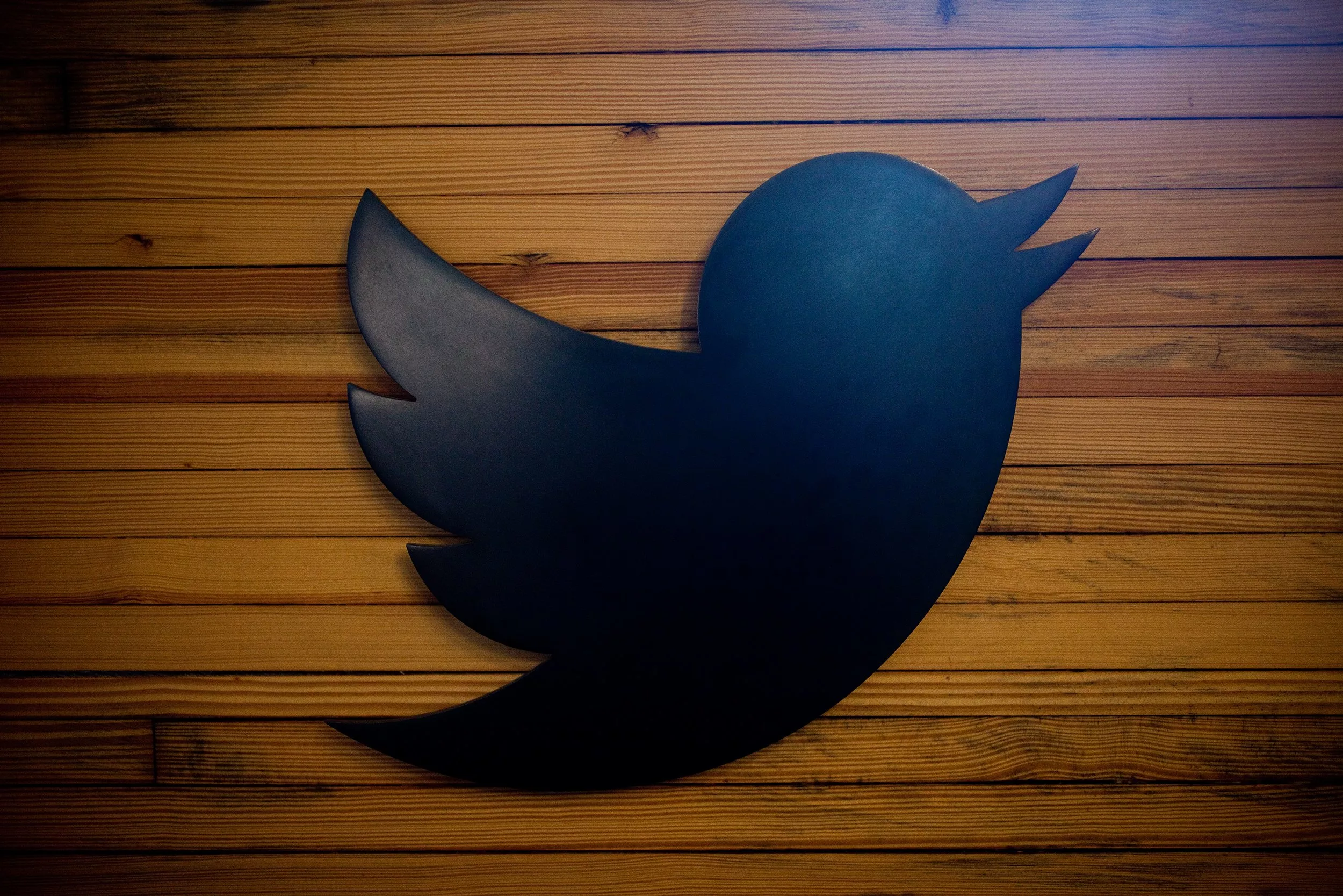 Илон Маск подал встречный иск к Twitter