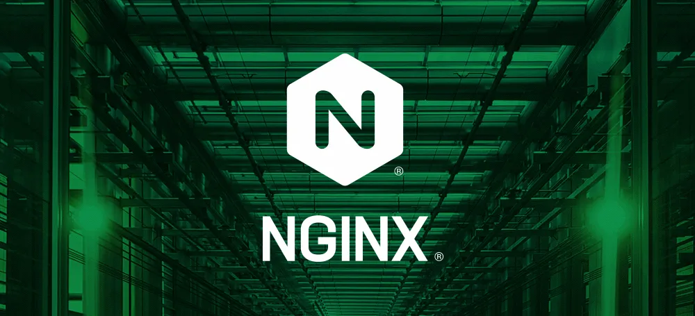 Разработчики популярного веб-сервера Nginx основали новую компанию в России