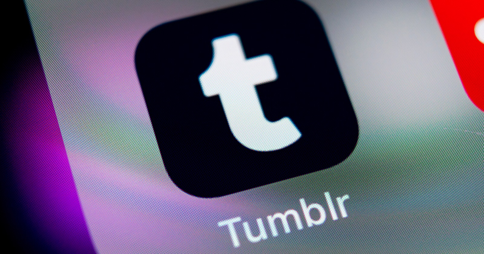 Tumblr в шутку предложил пользователям купить сразу две синие галочки за $8
