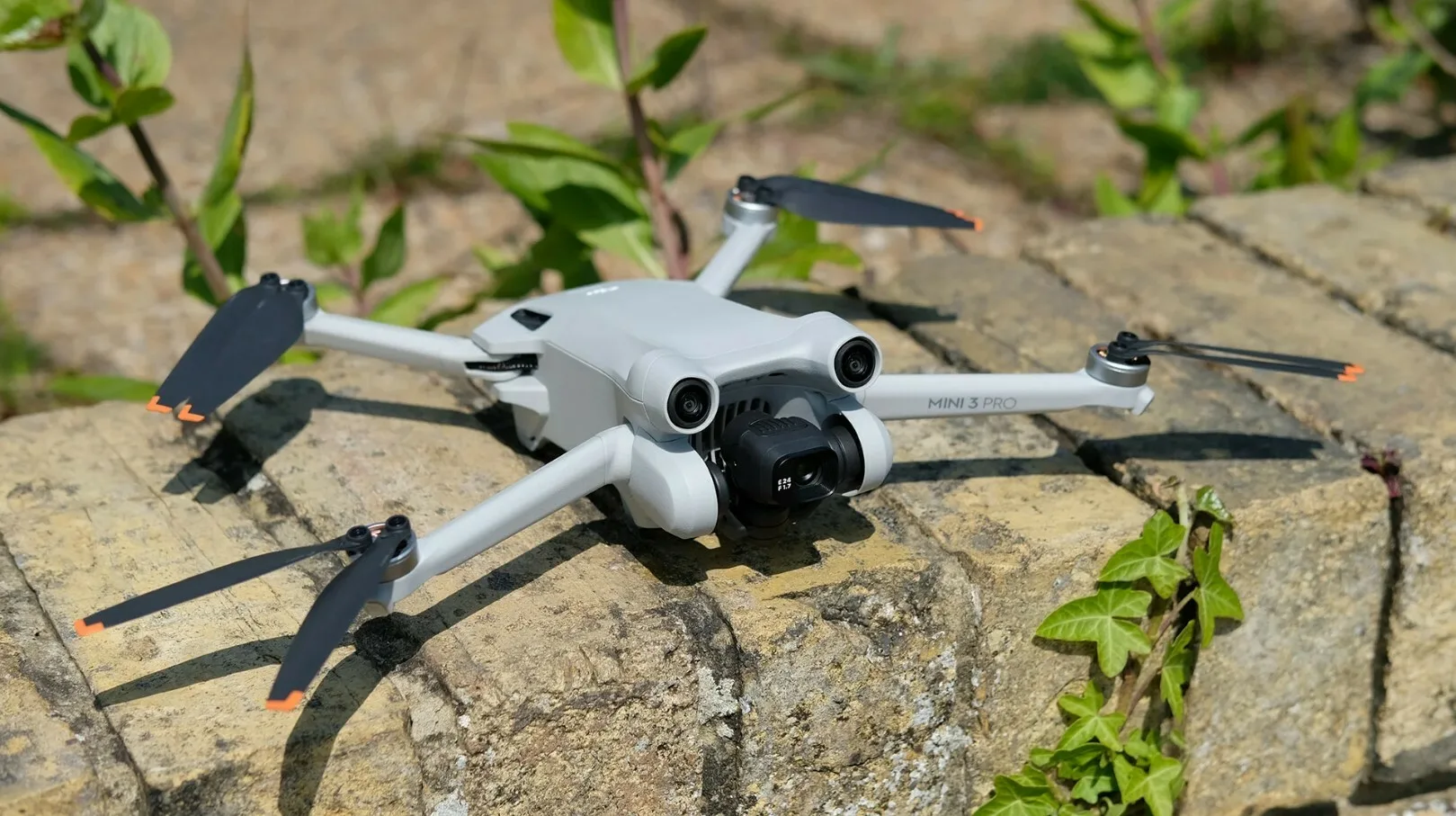 В Сети опубликовали фотографии грядущего дрона DJI Mini 4 Pro с пультом DJI RC 2