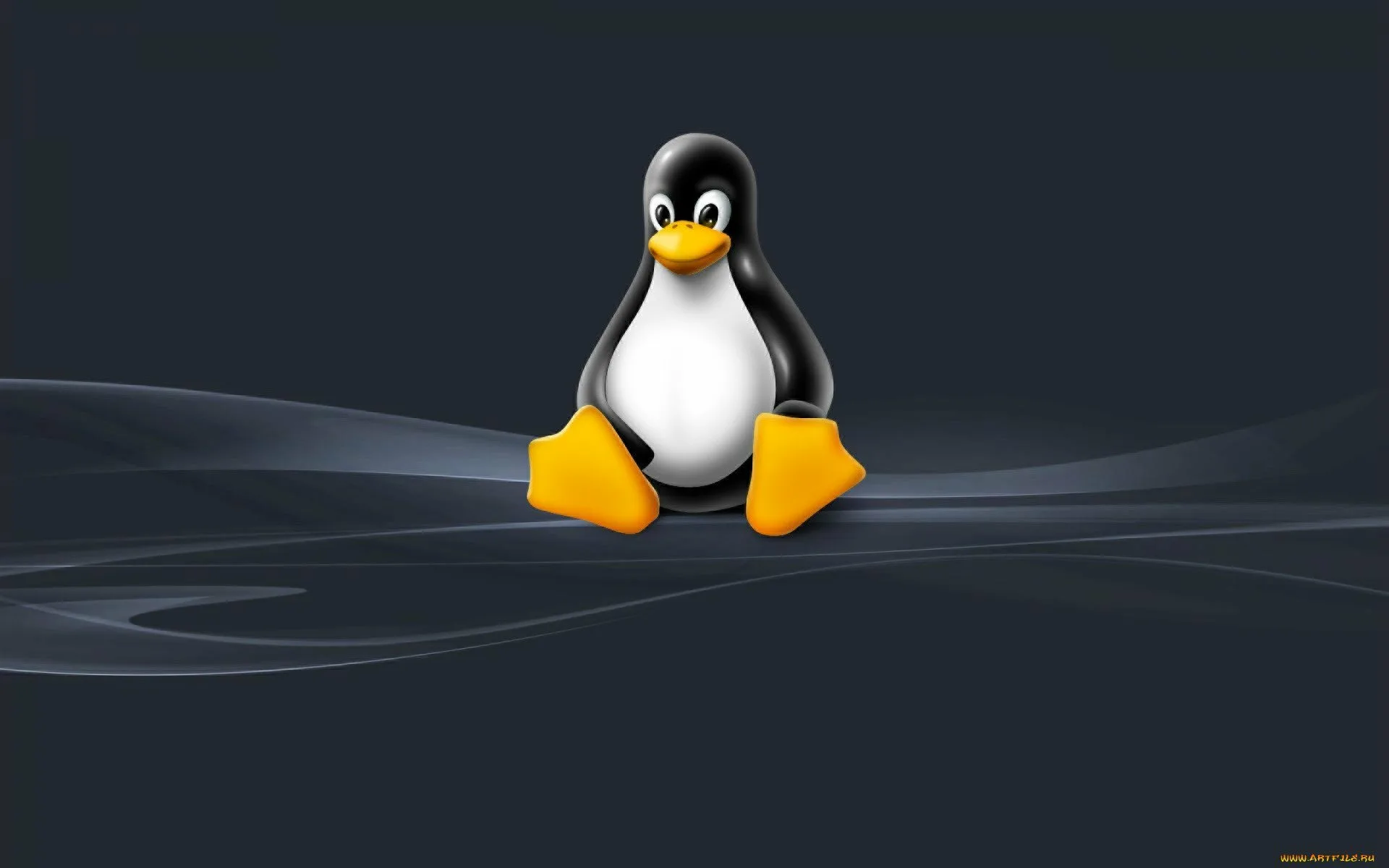 Microsoft выпустила подробную инструкцию как установить Linux на ПК