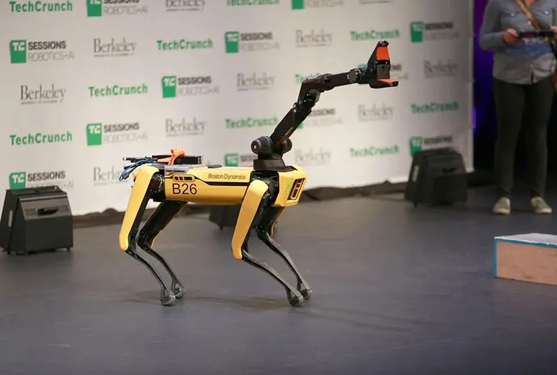 Робопсы Boston Dynamics выступили в «Америка ищет таланты»