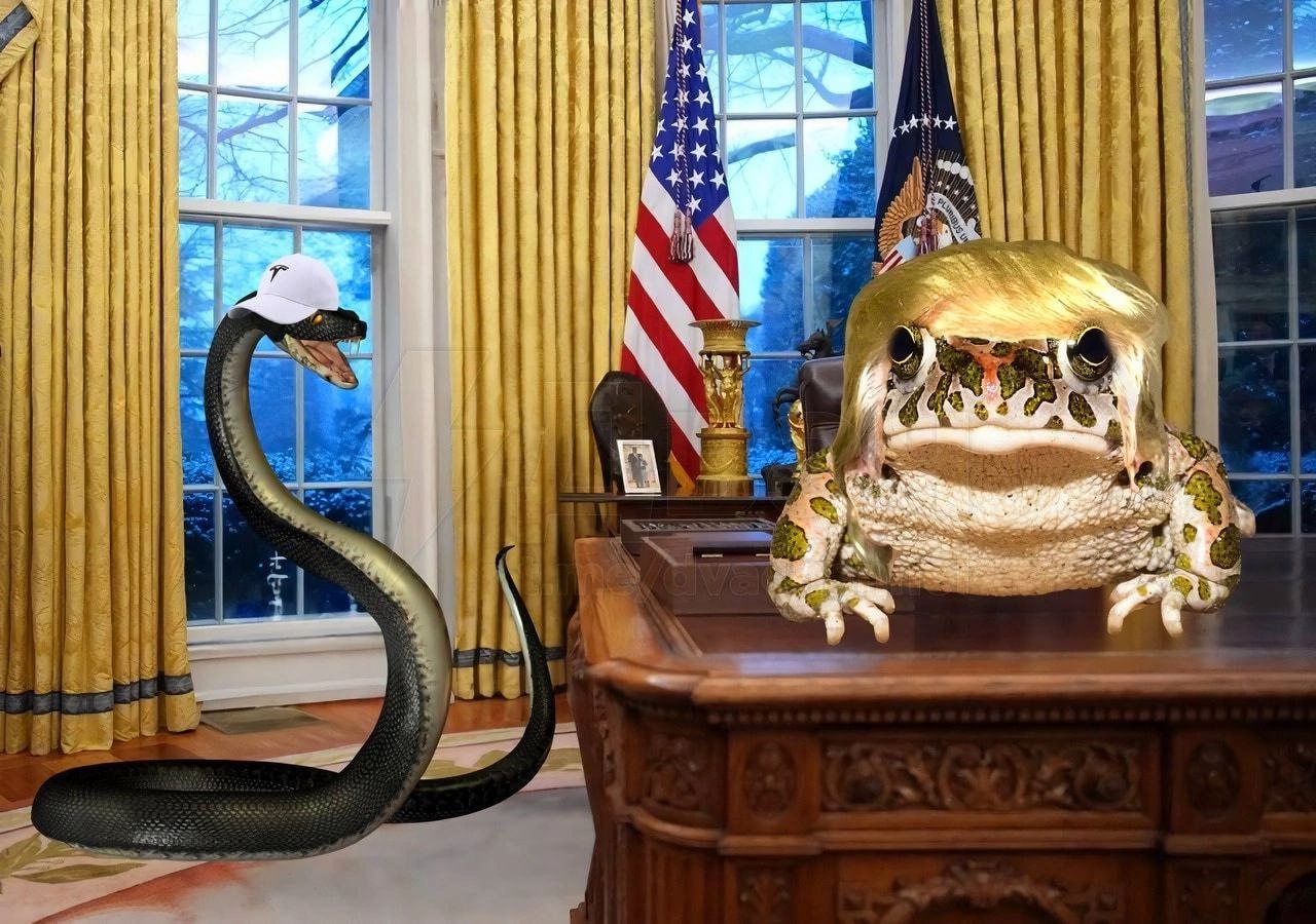 Мемы про Маска и Трампа