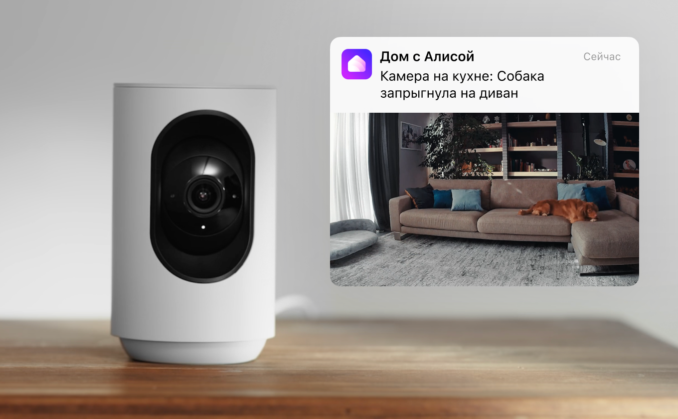 «В кадре появился кот»: IP-камера Яндекса научилась понимать, что происходит в помещении