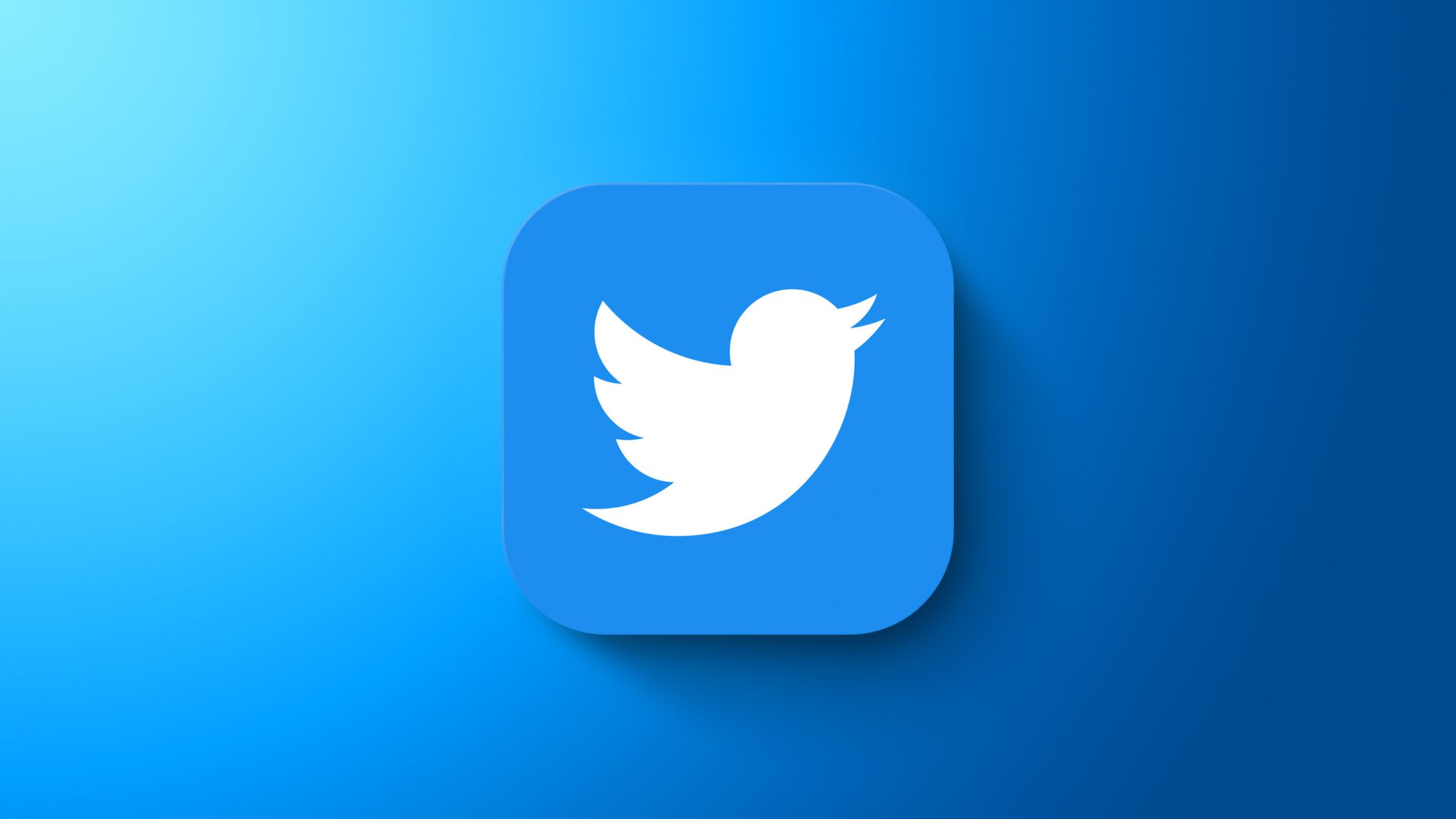 Стартап хочет через суд отобрать у Илона Маска бренд Twitter
