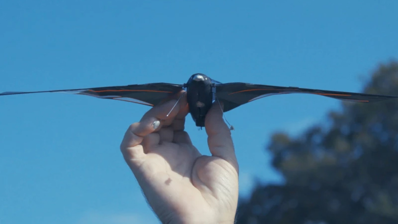 ΠΡΠΎΠ½-ΠΎΡΠ½ΠΈΡΠΎΠΏΡΠ΅Ρ Swift, ΡΠΎΠ·Π΄Π°Π½Π½ΡΠΉ ΠΠ΄Π²ΠΈΠ½ΠΎΠΌ Π²Π°Π½ Π ΡΠΈΠΌΠ±Π΅ΠΊΠ΅, ΠΏΠ°ΡΠΈΡ Π½Π°Π΄ ΡΡΠΊΠΎΠΉ ΡΠ΅Π»ΠΎΠ²Π΅ΠΊΠ°.