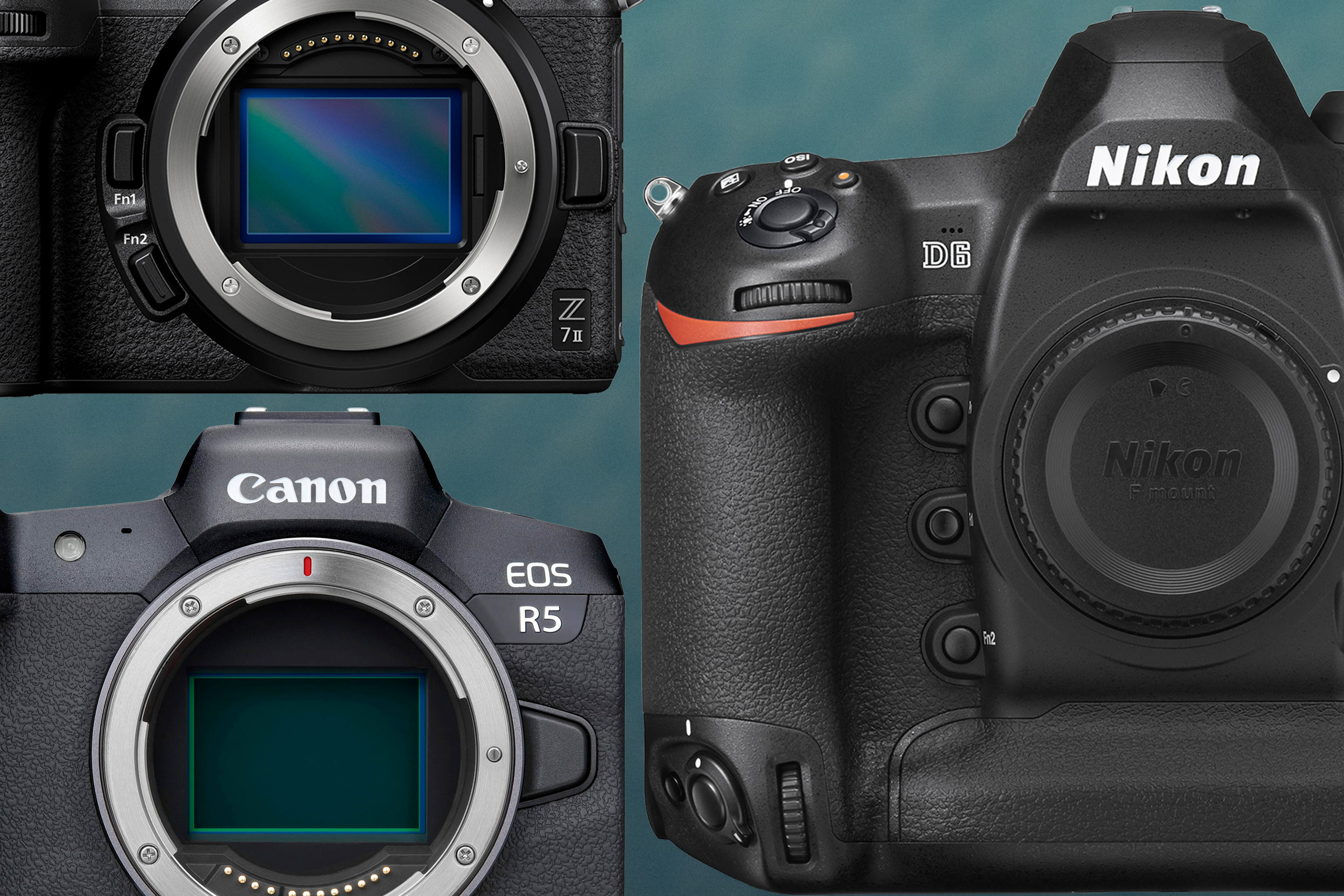 NASA испытала фотокамеры Canon и Nikon в космических условиях чтобы проверить их работу